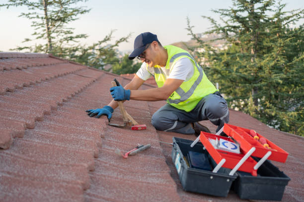 Roof Gutter Cleaning in Barnesville, MN